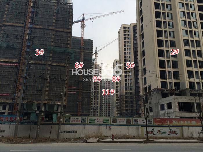保亿风景晨园2、3、5、6、8、9、11号楼施工进程图（2015.2）
