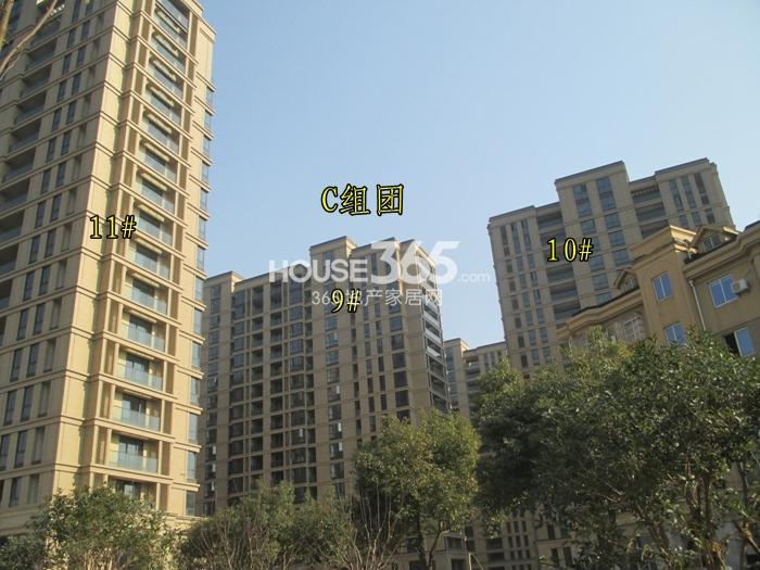西溪海C组团9、10、11号楼施工进程图（2015.2）