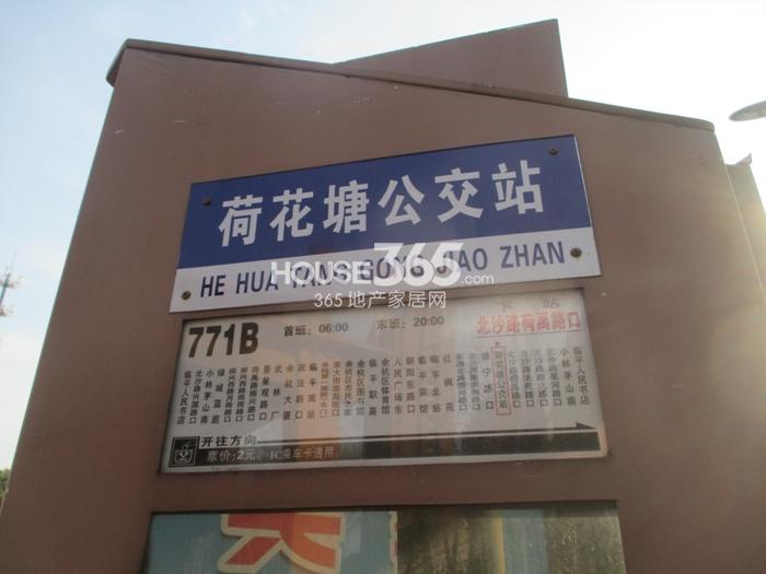 绿城莲园项目周边配套——荷花塘公交站
