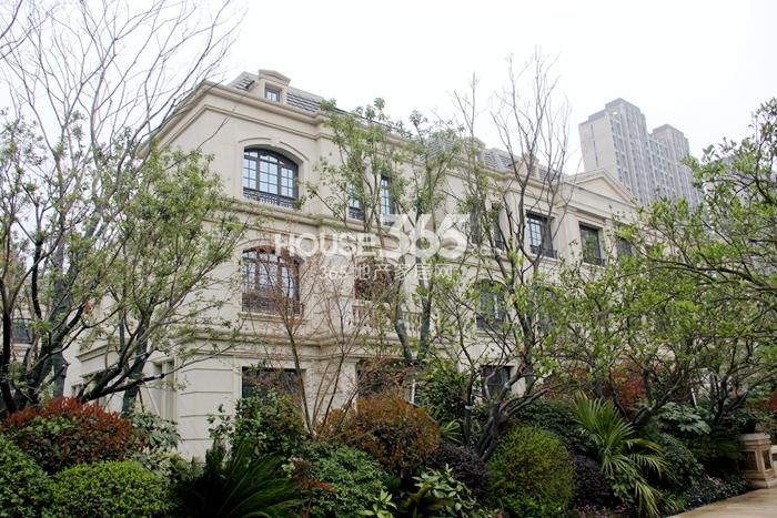 阳光城上府现场样板示范区 2015年3月摄
