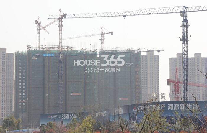 农房尚海湾西侧实景图 2015年3月摄