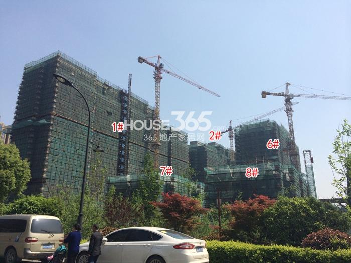 凯文杭庄1、2、6—8号楼施工进程图（2015.5）