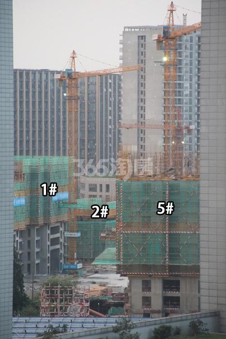 2015年7月黄龙金茂悦项目实景--1、2、5号楼