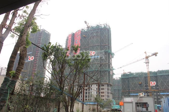 世茂天宸1、2、5号楼施工进度实景图 2015年9月摄