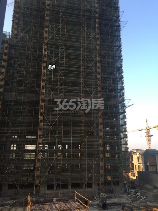 东晖龙悦湾项目高层8号楼施工进程图（2015.10）