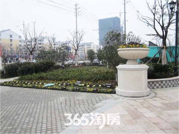 京城国际实景图