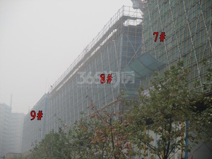 德信浙旅东宸7-9号楼施工进度实景图 2015年12月摄