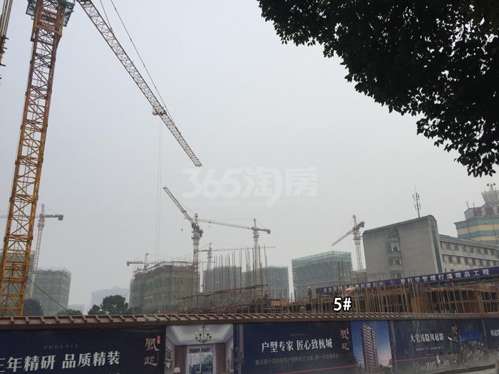 天阳凤起最新动态
