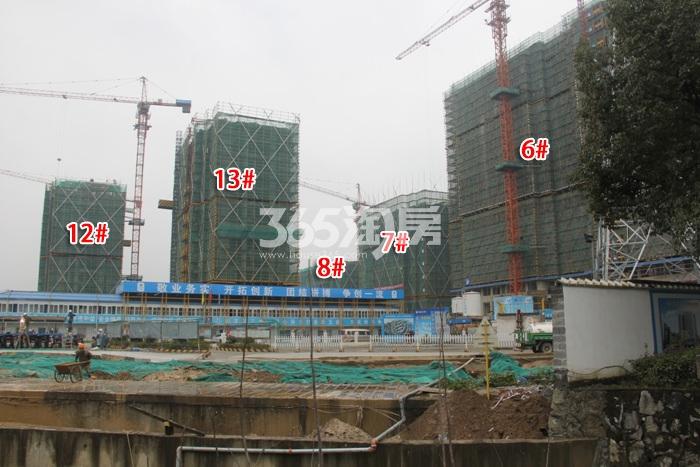 金成英特学府6—8、12、13号楼施工进程图（2015.12）