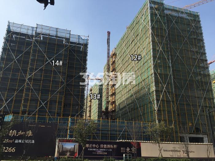 德信浙旅东宸12、13、14号楼施工进度实景图 2016年1月摄
