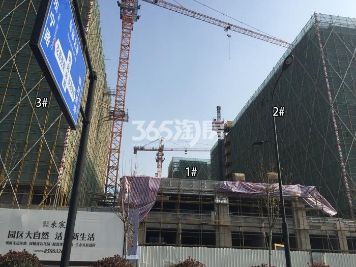德信浙旅东宸1、2、3号楼施工进度实景图 2016年1月摄