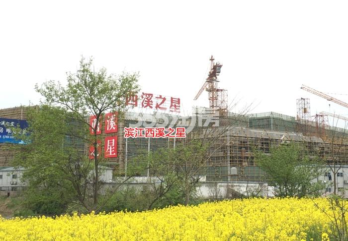 滨江西溪之星项目整体施工进程图（2016.3）