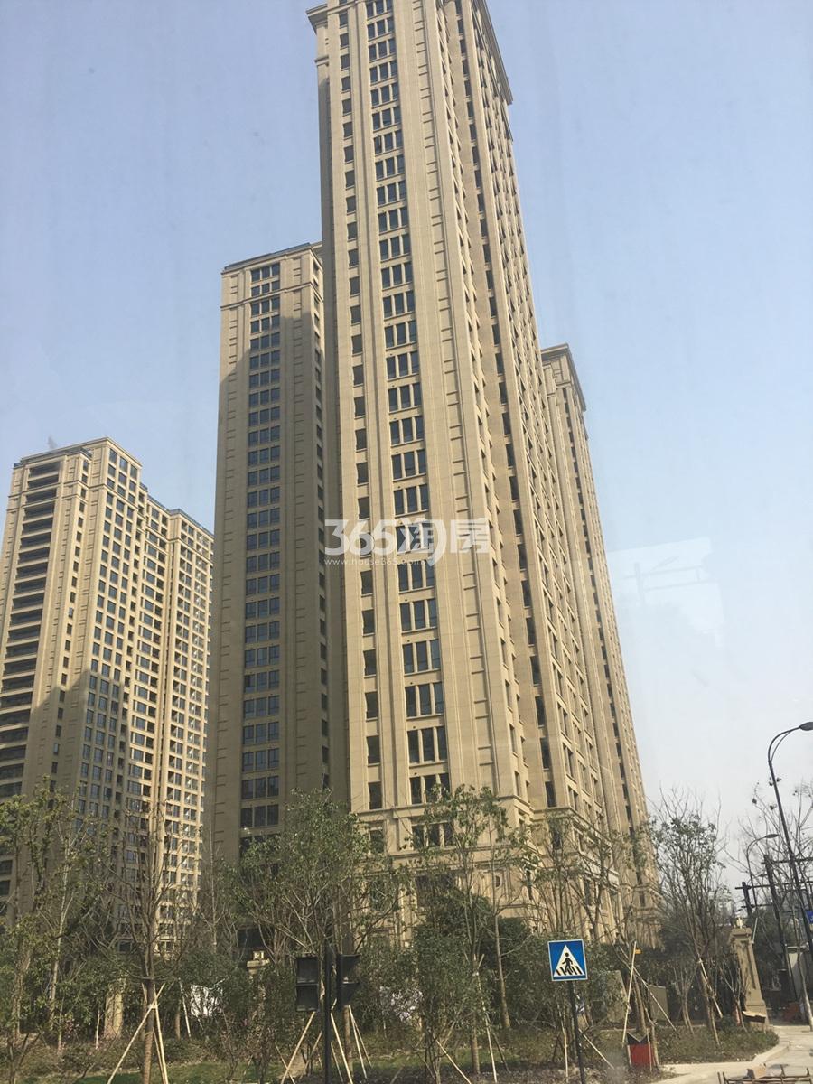 绿城运河宸园最新动态