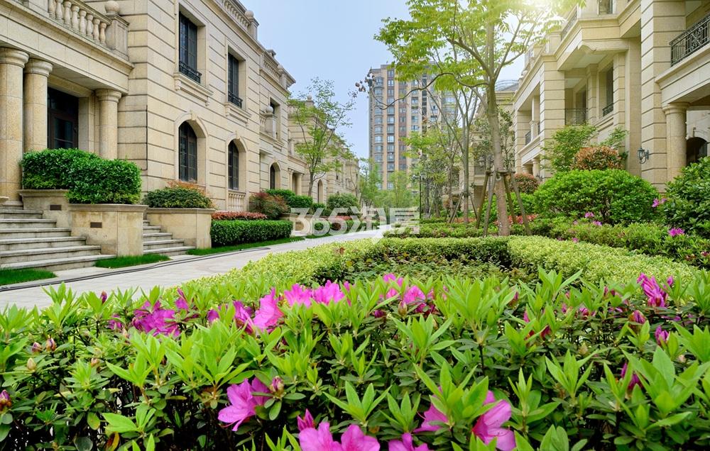 尚城墅项目现房实景