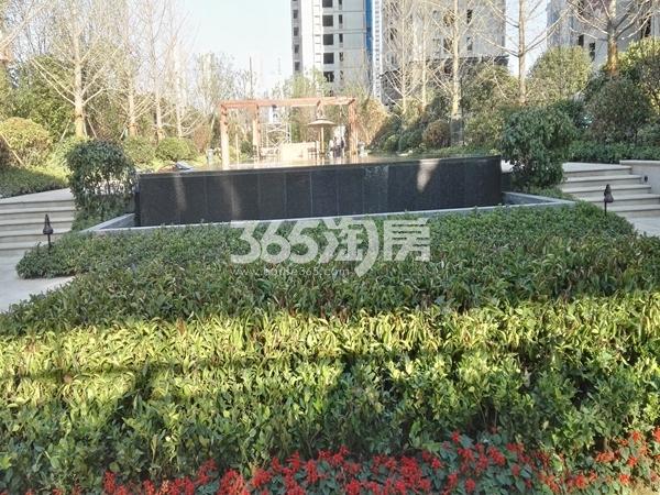 小区绿化实景图（9.22）