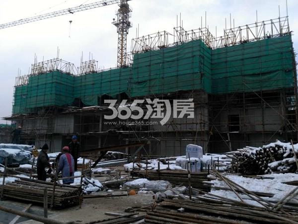 荣盛城C1区工程实景图(11.24)