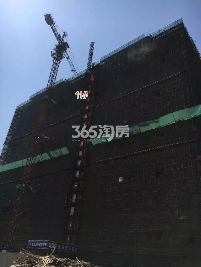 宝嘉誉府11号楼施工进程（2017.5）