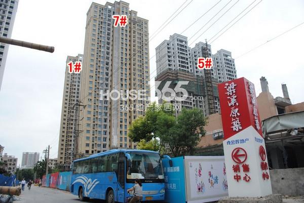 杭州中环仁和段开工